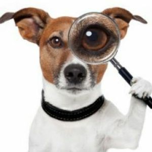 ISO size 9 Hunter stardust boots